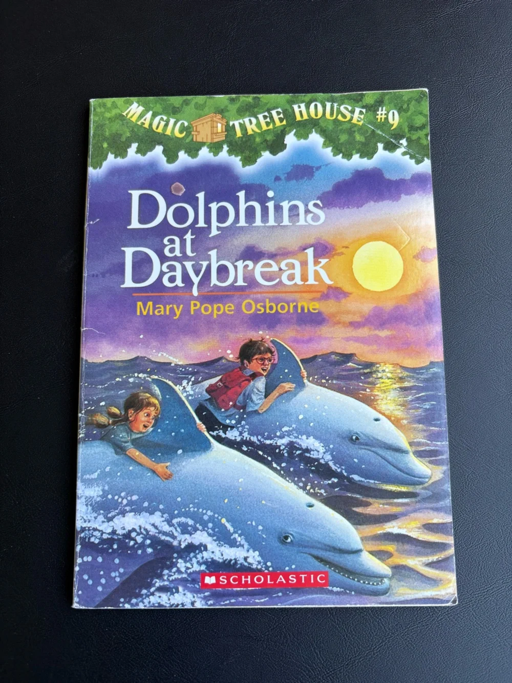 Magic Tree House Children's Books - Books #1 - #10